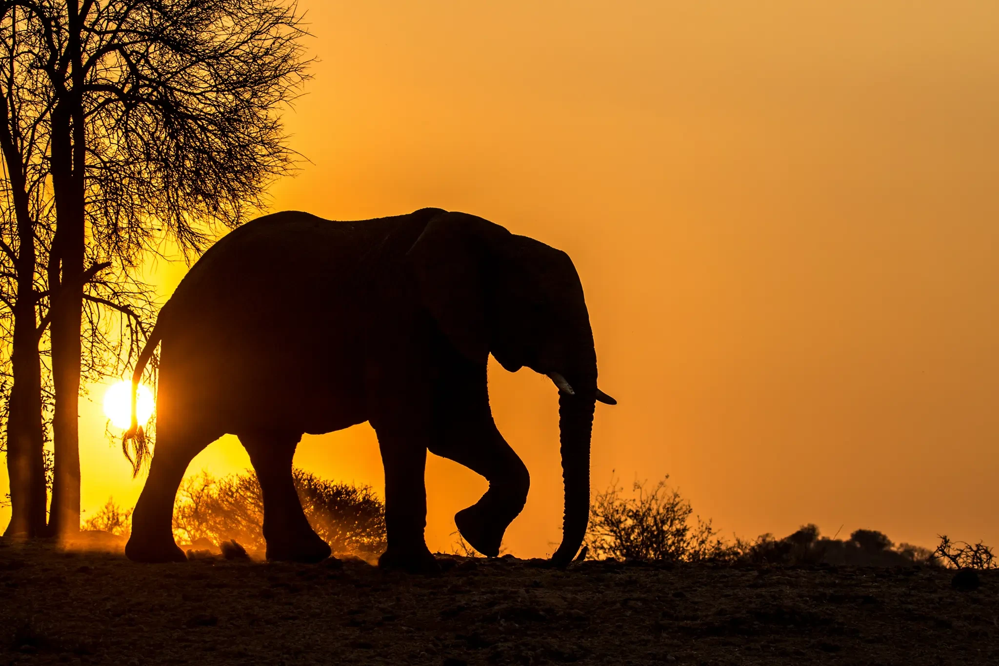 Multi-Country Safaris safari landscape