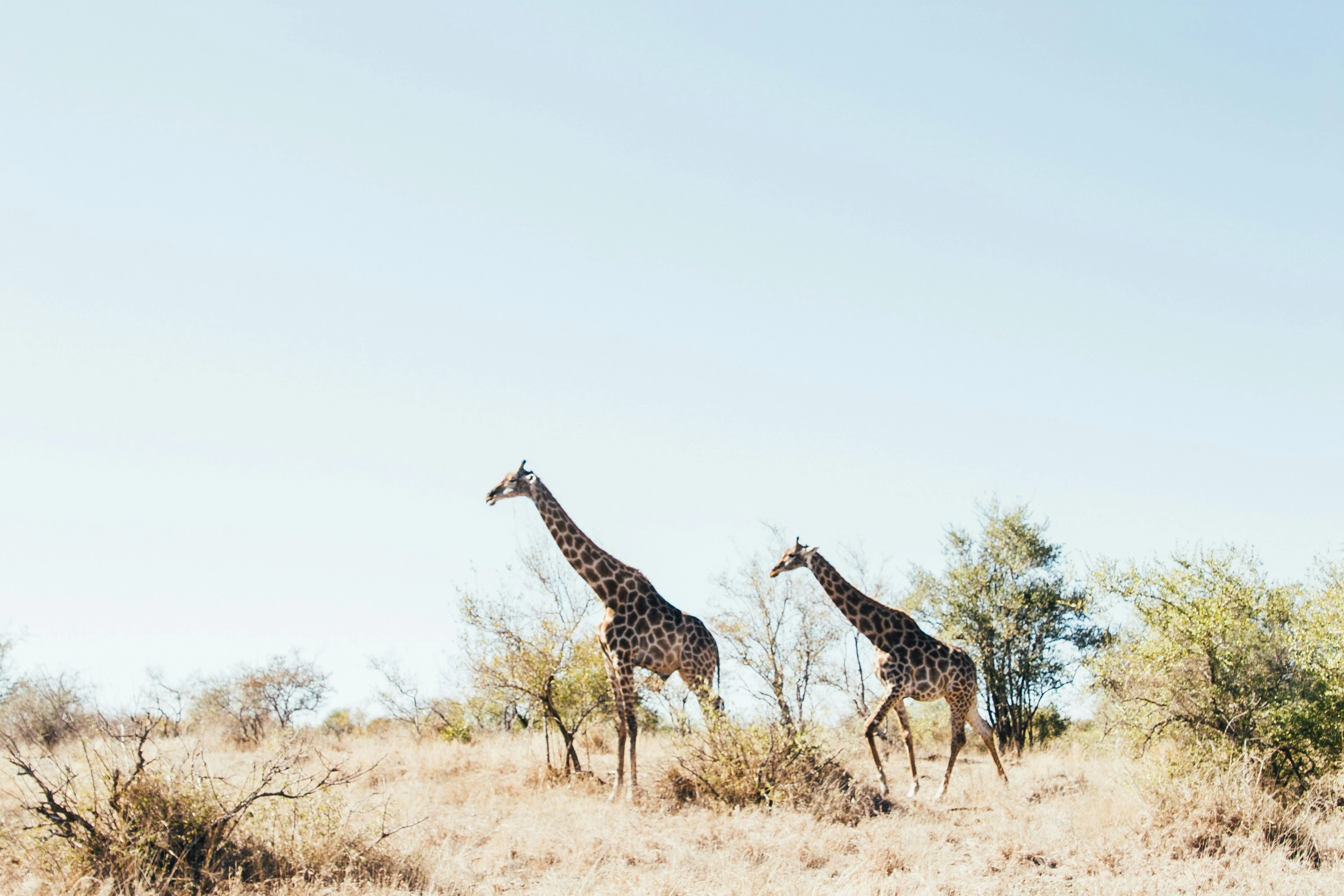 The character of Tanzania