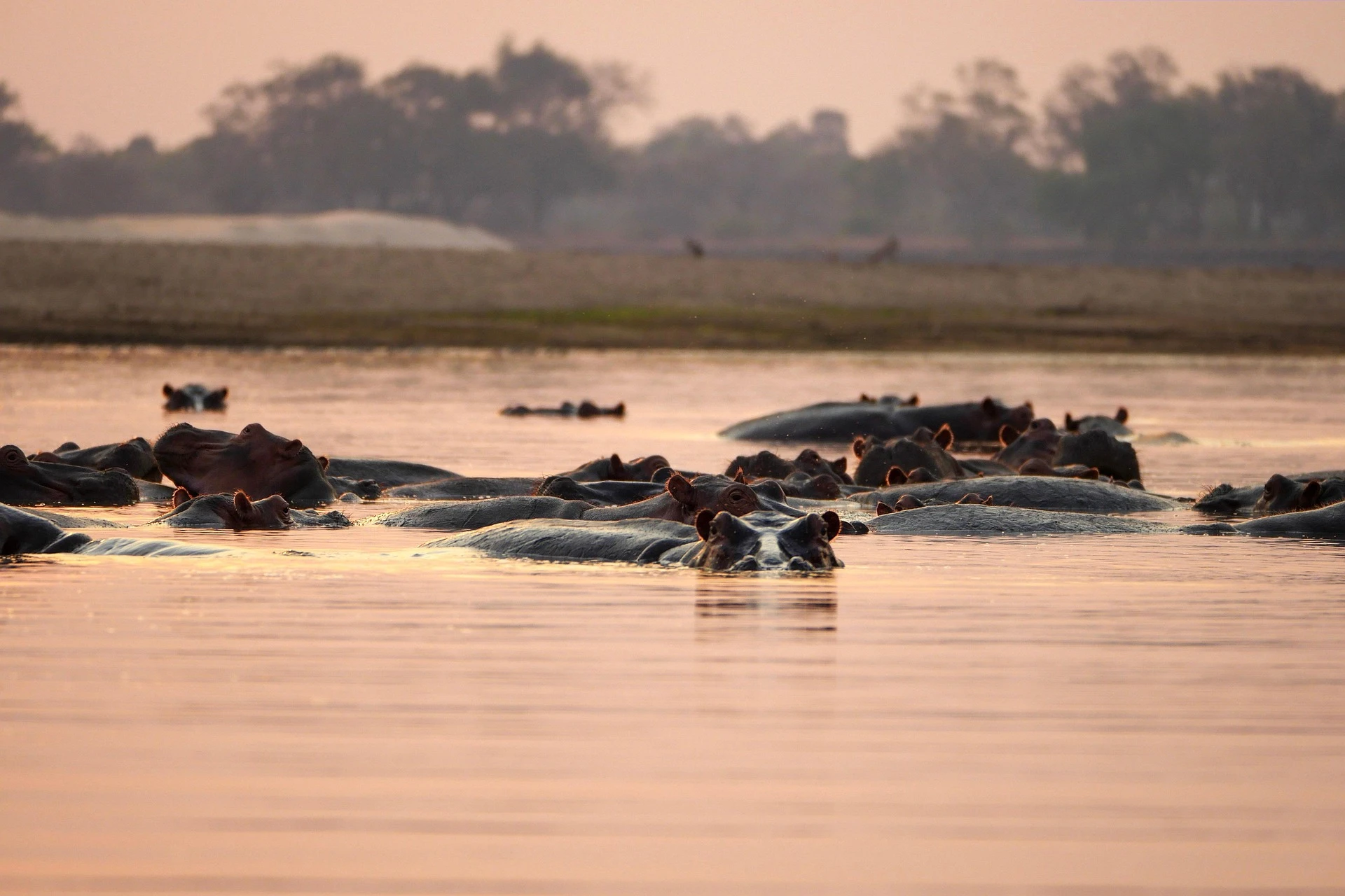 Tanzania’s Latest Safari Updates and Travel News This Season