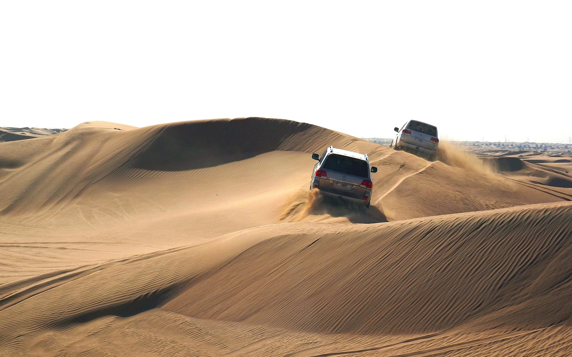 Private desert drives and dining