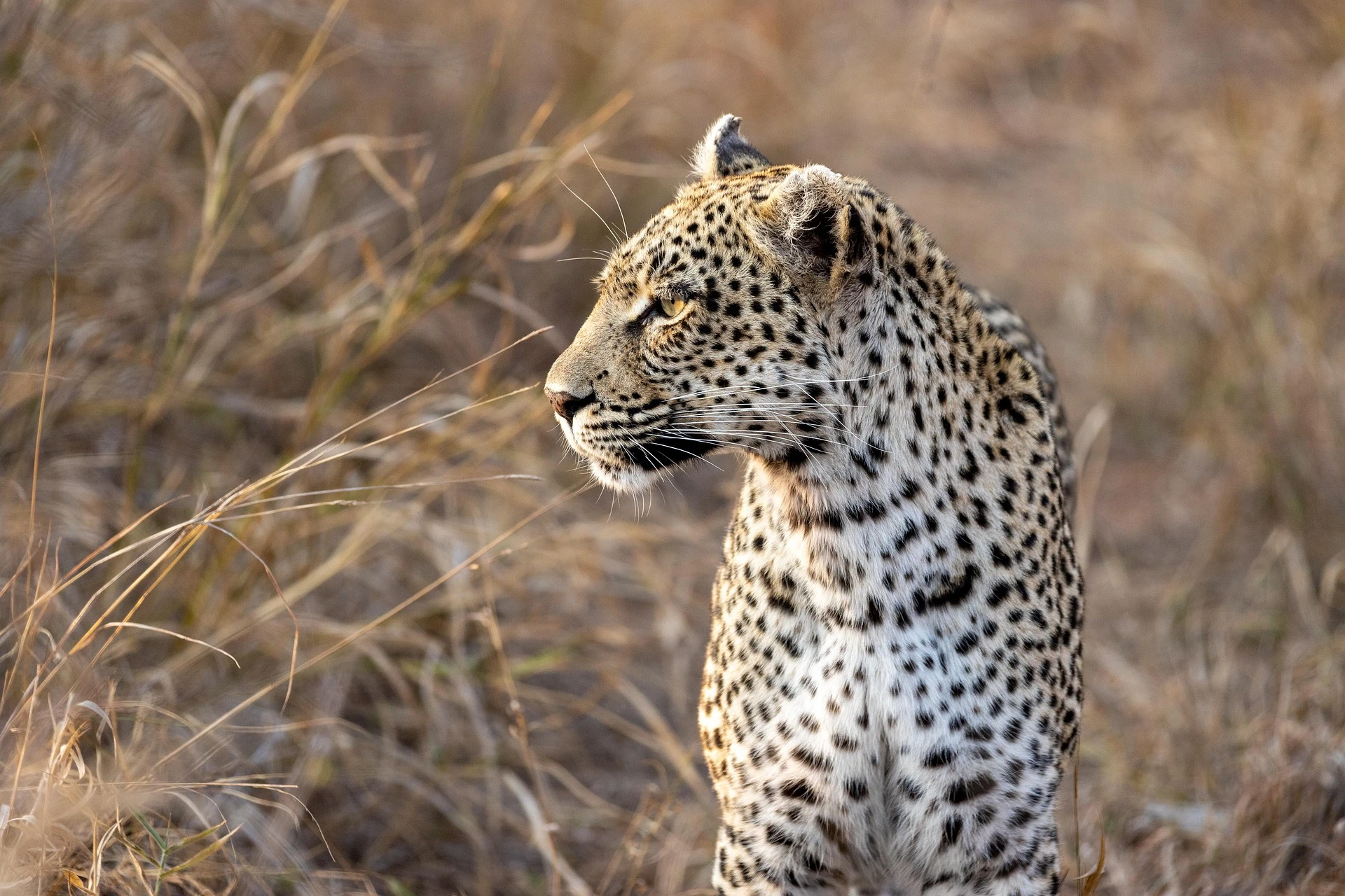 Kenya travel overview