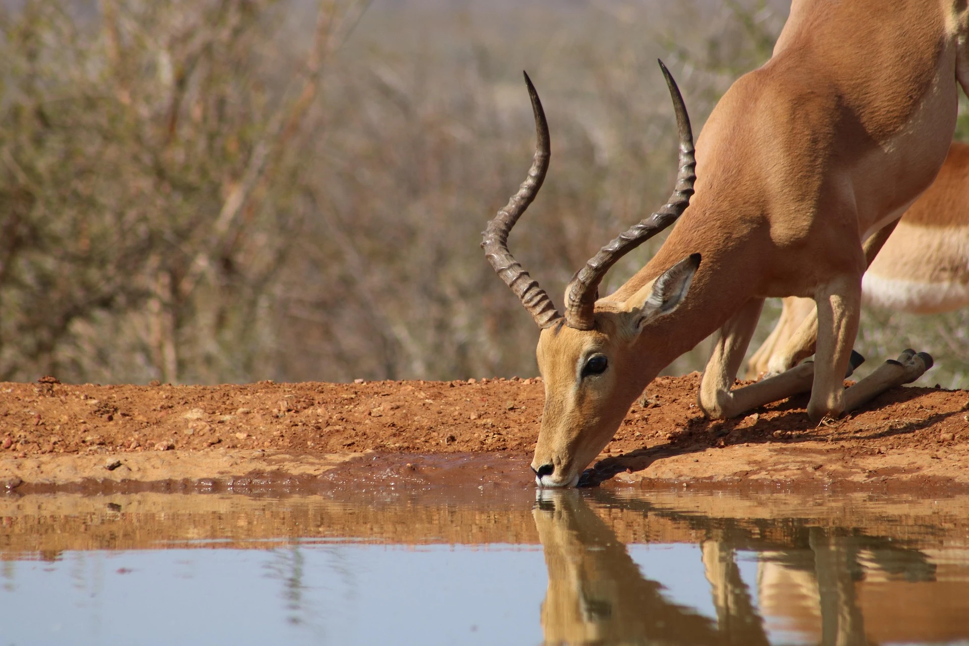 Best Time to Visit Serengeti: Month by Month Guide