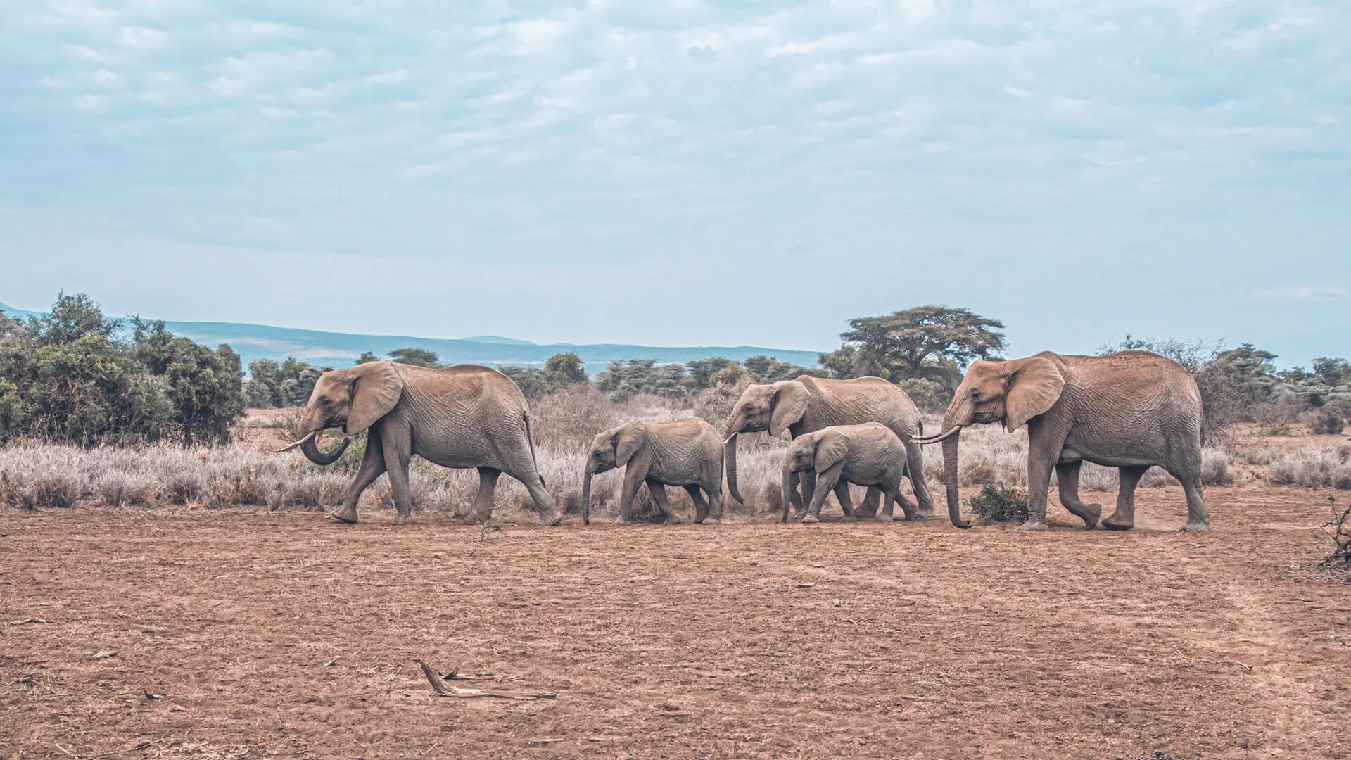 Amboseli Group Joining Safaris from Nairobi
