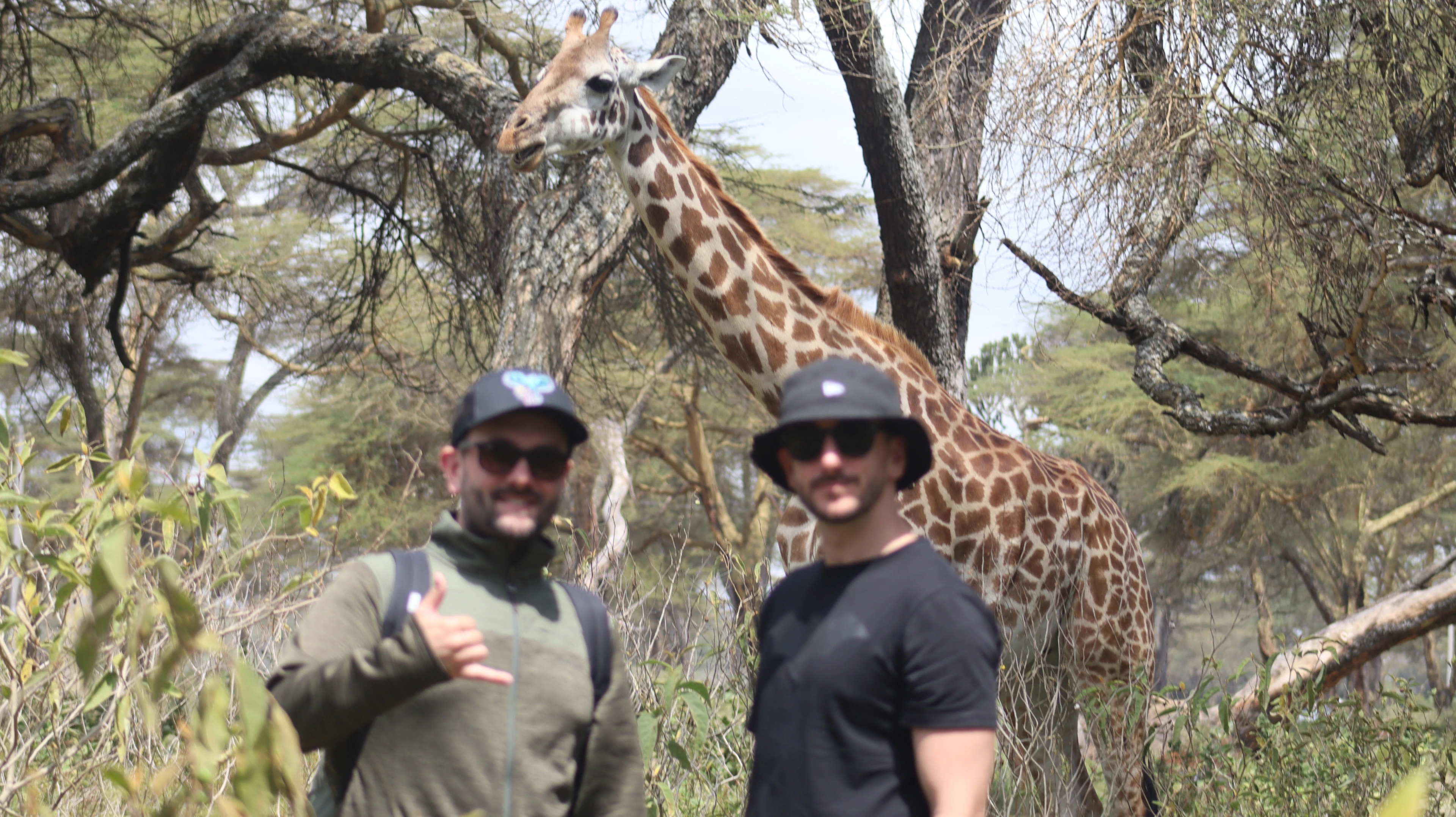A considered Norine Forbes safari journey
