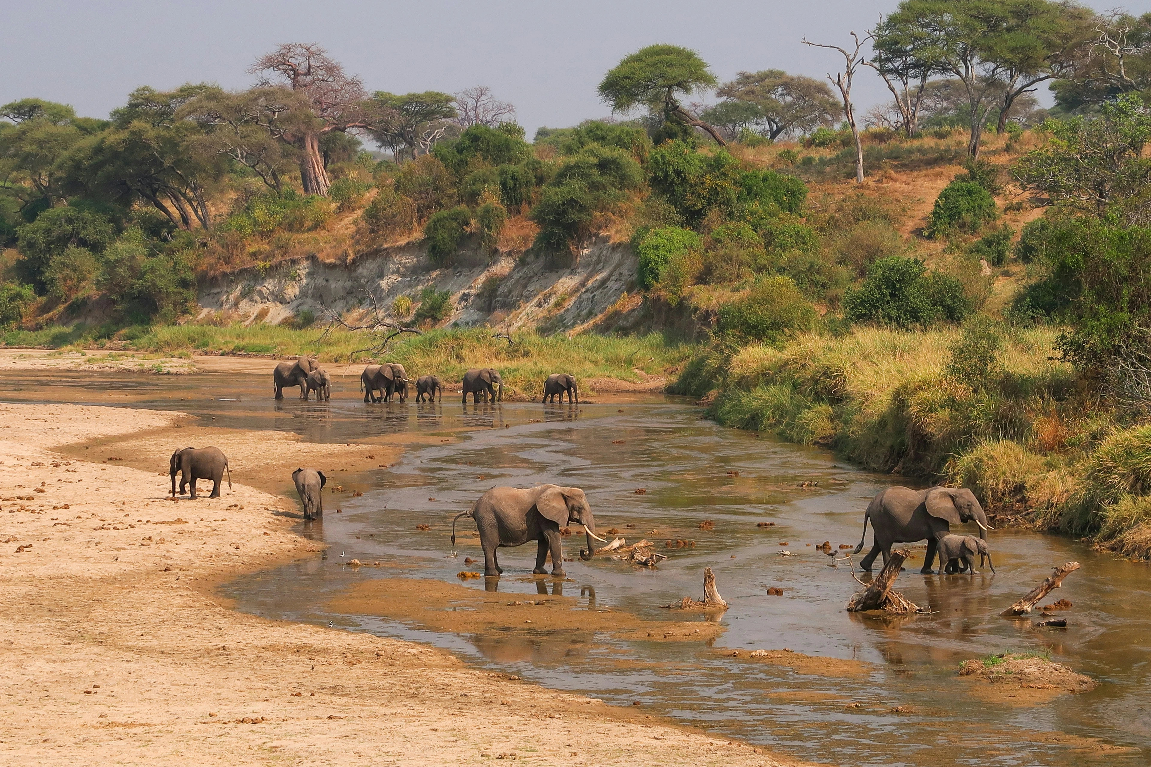 Kenya Budget Safaris