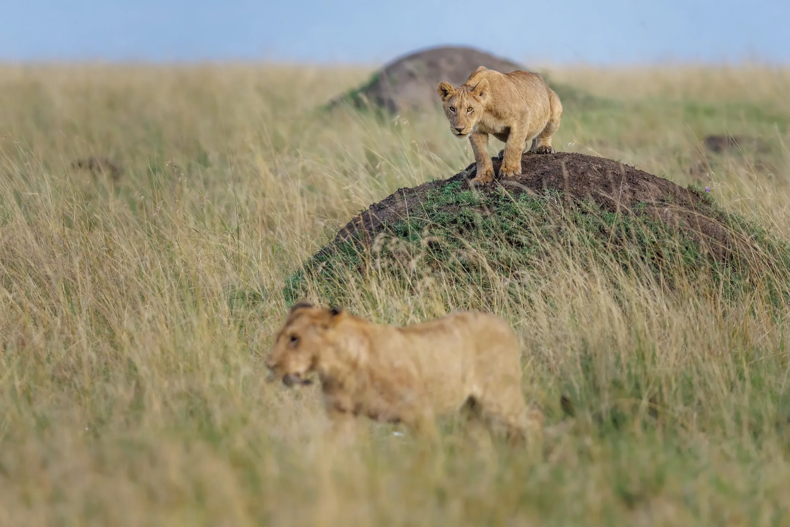 Tanzania travel information