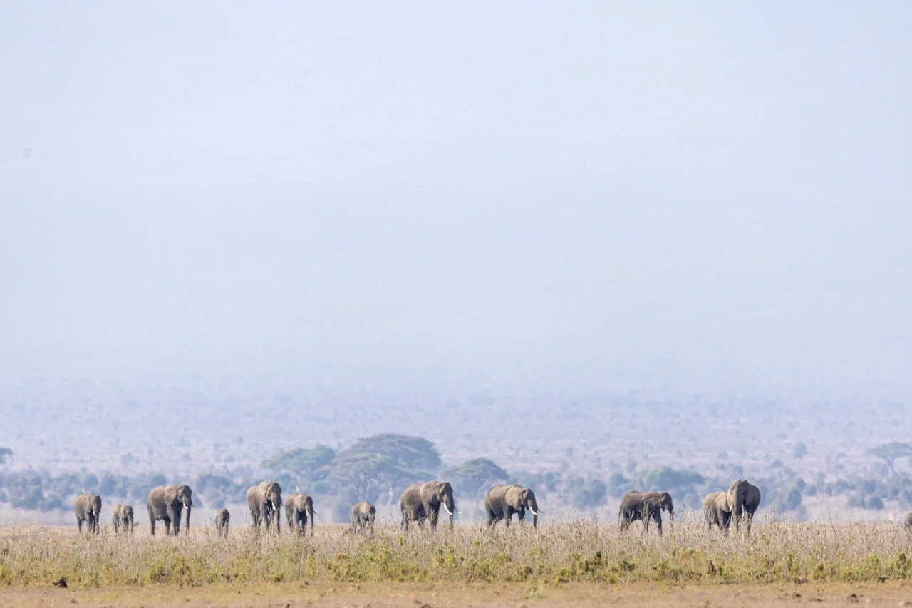 Arriving in Tanzania